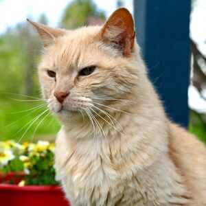 Meet your Posher, Laura